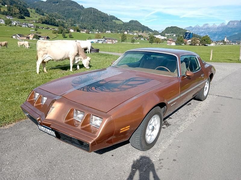Gold Gebraucht 1979 Pontiac Firebird Coupé | 18.500 € - Bild 1/4
