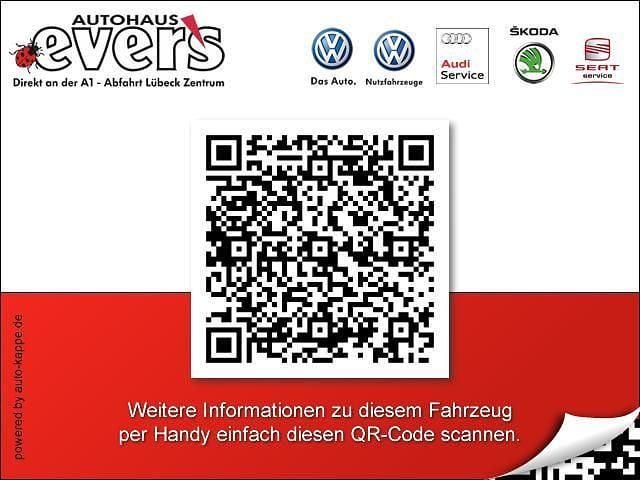 Gebraucht Skoda Fabia Joy 75 PS (55 kW) 2016 Blau Kleinwagen