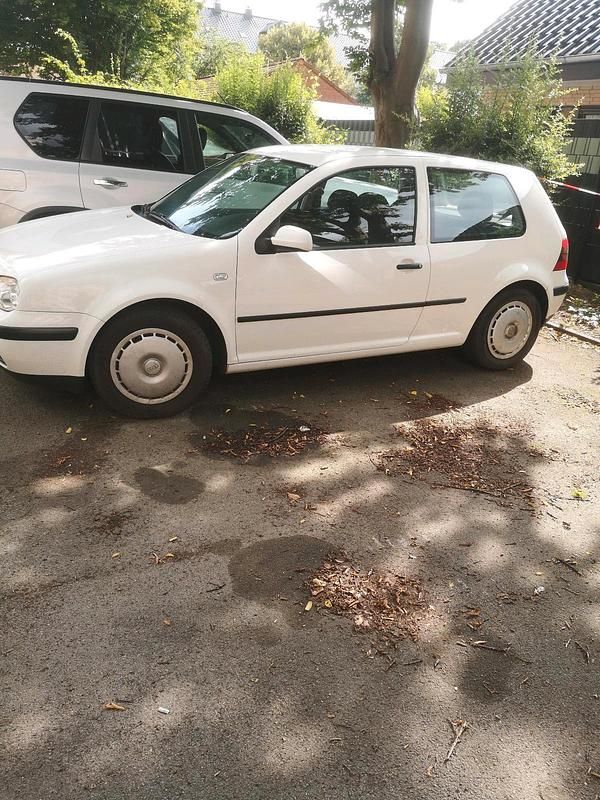 Weiß Gebraucht 2000 VW Golf IV Kleinwagen | 500 € (Guter Preis) - Bild 1/4