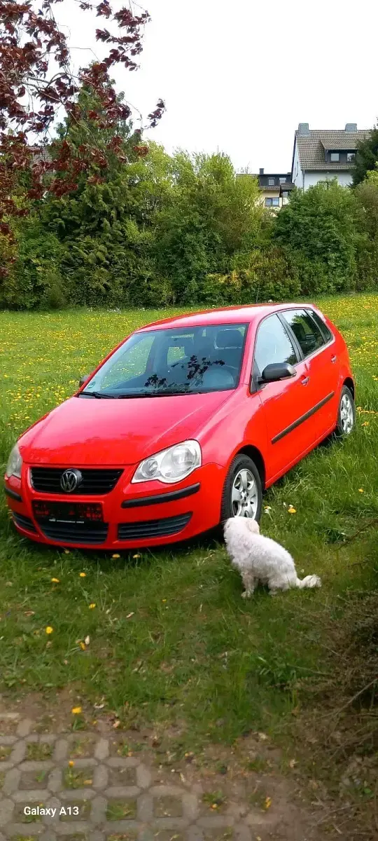Gebraucht VW Polo 60 PS (44 kW) 2026 Rot Kleinwagen