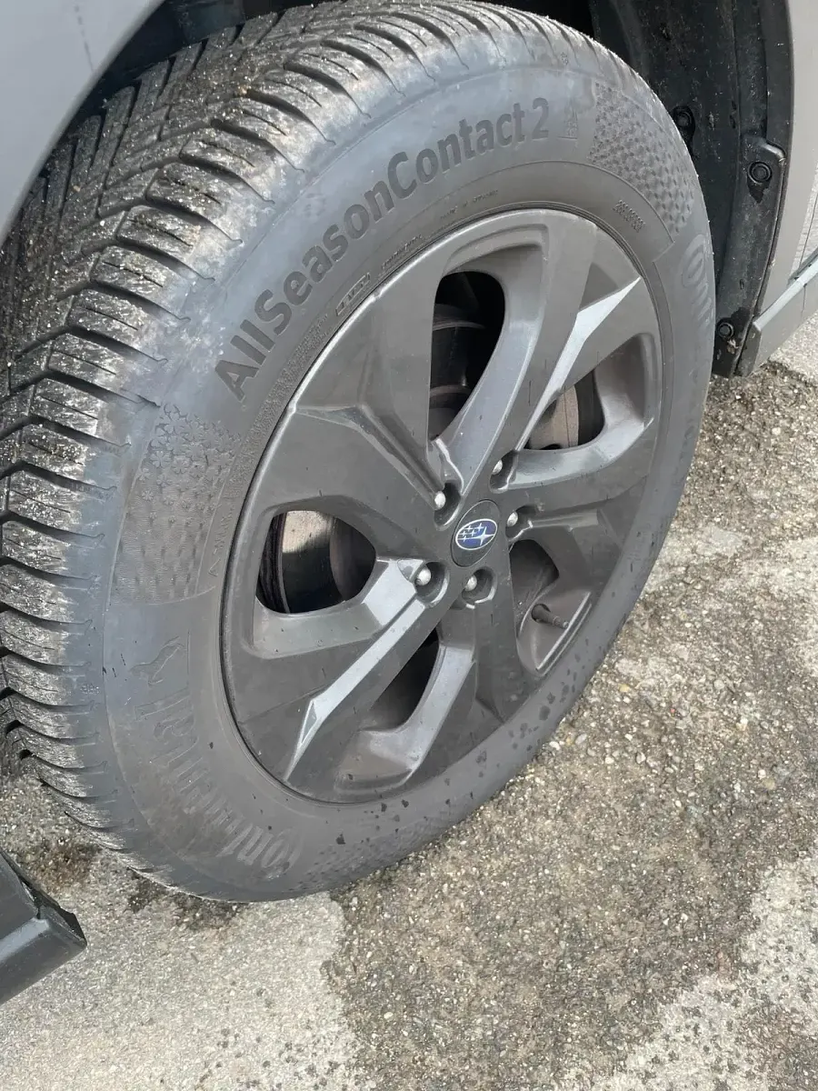 Gebraucht Subaru Outback Exclusive+ 167 PS (122 kW) 2022 Grau Kombi