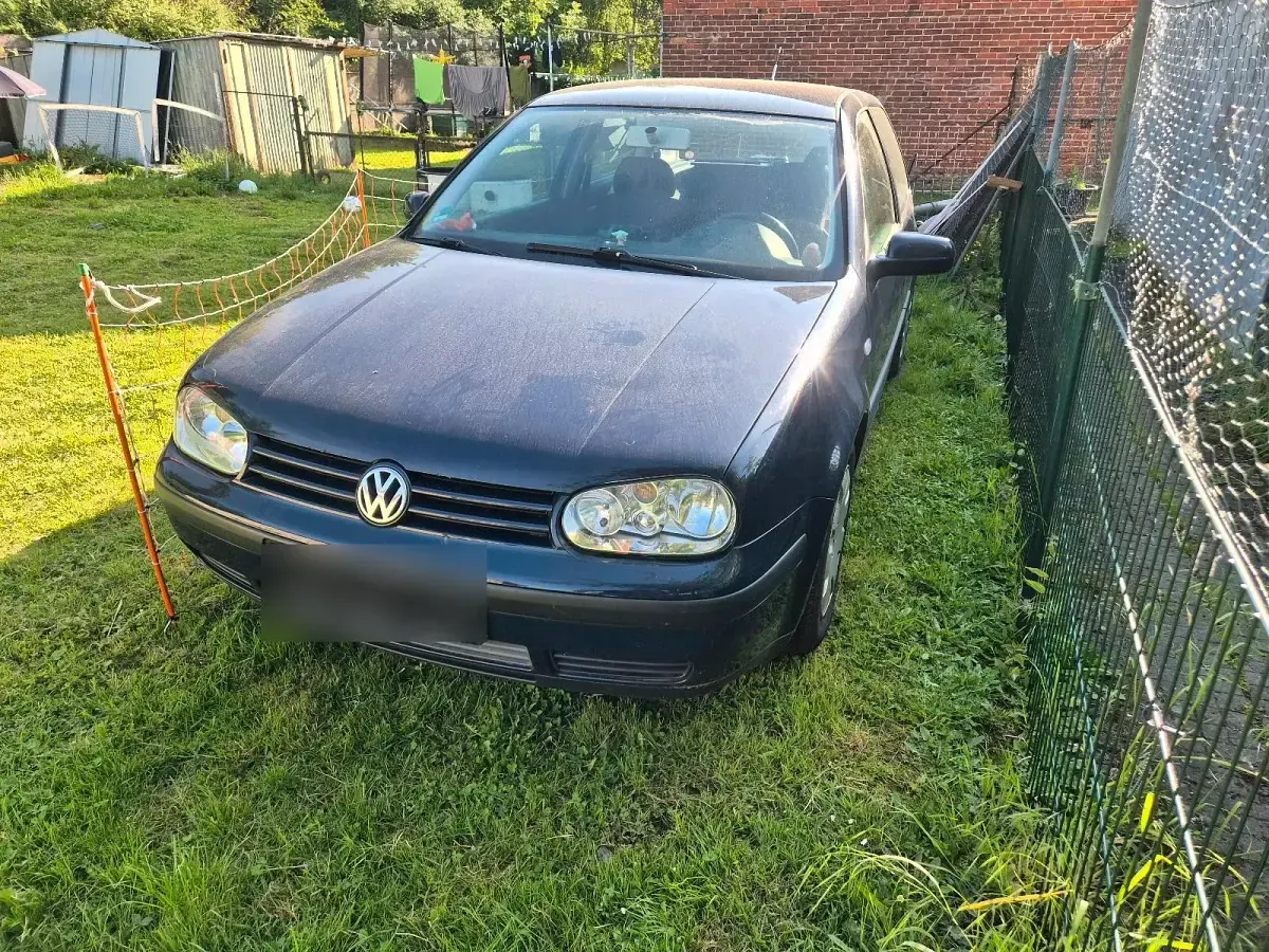 Gebraucht VW Golf VIII 105 PS (77 kW) 2026 Blau Kleinwagen