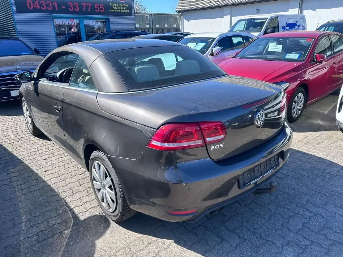 Occasion VW Eos Basis 122 ch (89 kW) 2011 Marron Cabriolet