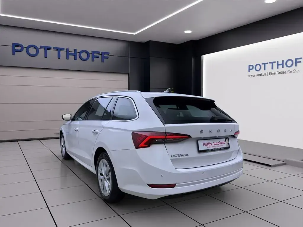 Gebraucht Skoda Octavia Style 116 PS (85 kW) 2023 Candyweiß Kombi