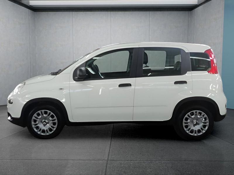 Neu Fiat Panda 69 PS (50 kW) 2025 Weiß Kleinwagen