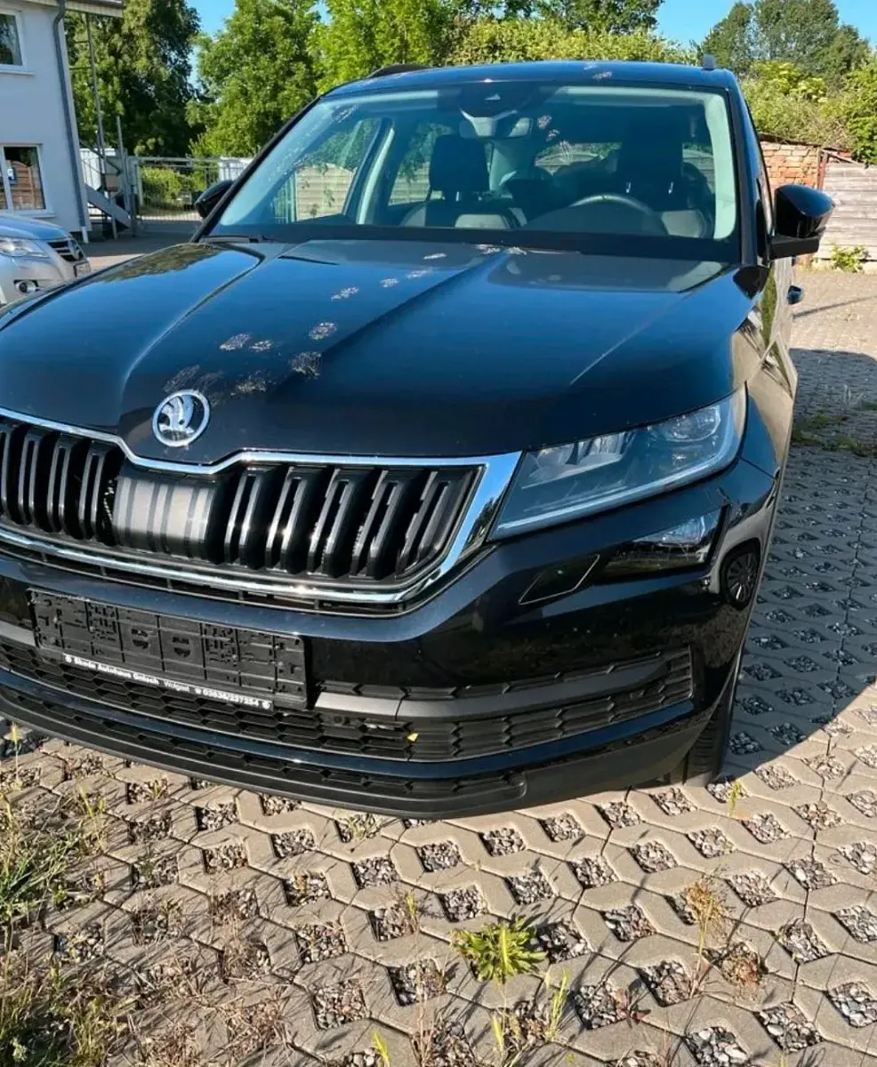Gebraucht Skoda Kodiaq 150 PS (110 kW) 2019 Schwarz SUV