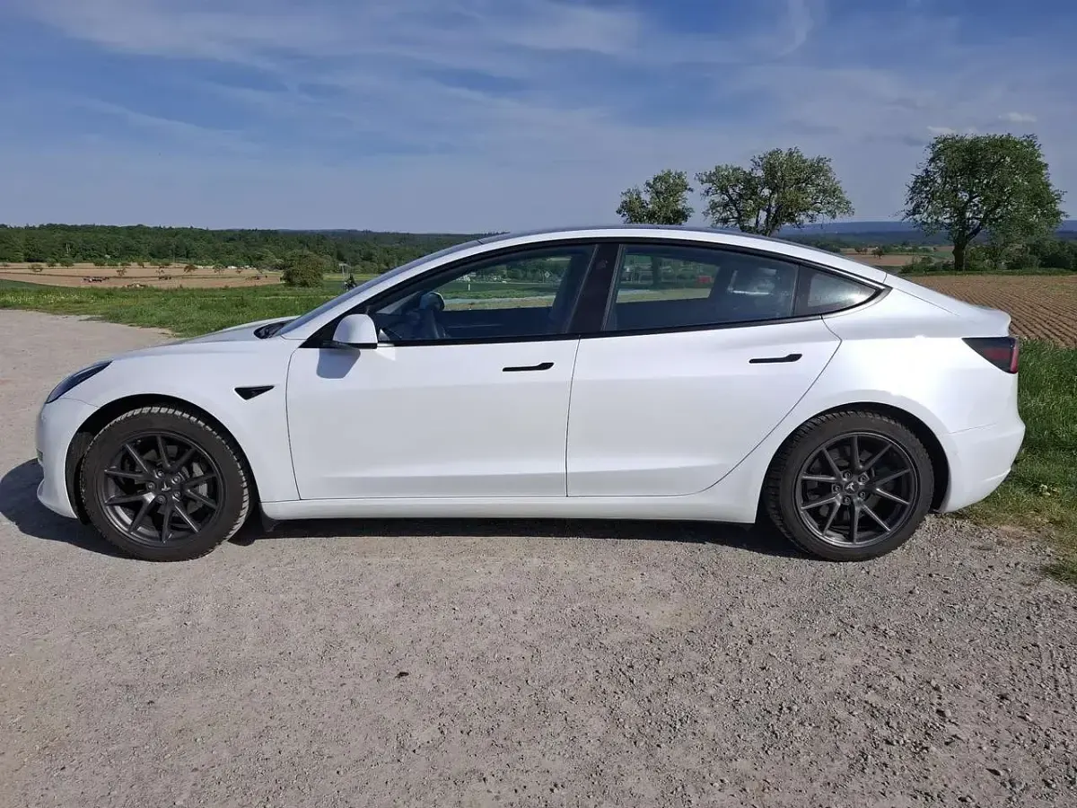 Occasion Tesla Model 3 RWD 239 kW (325 ch) 2021 Berline
