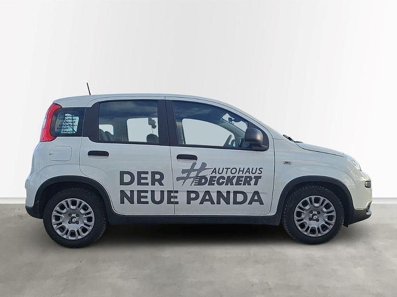Gebraucht Fiat Panda 69 PS (50 kW) 2024 Weiss Limousine