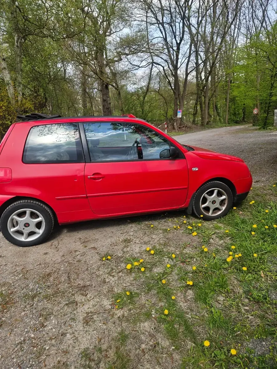 Gebraucht VW Lupo 60 PS (44 kW) 2005 Rot Kleinwagen