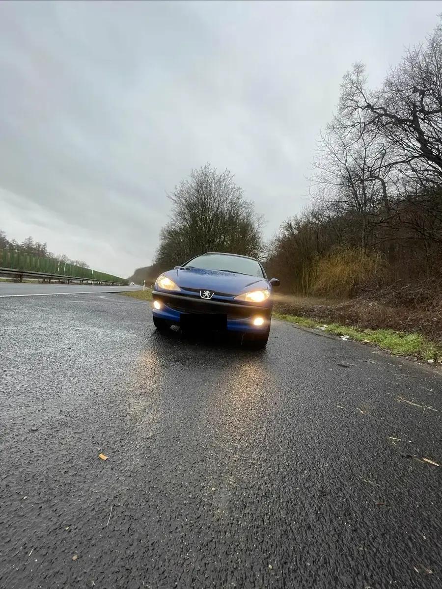 Gebraucht Peugeot 206 60 PS (44 kW) 2001 Blau Kleinwagen