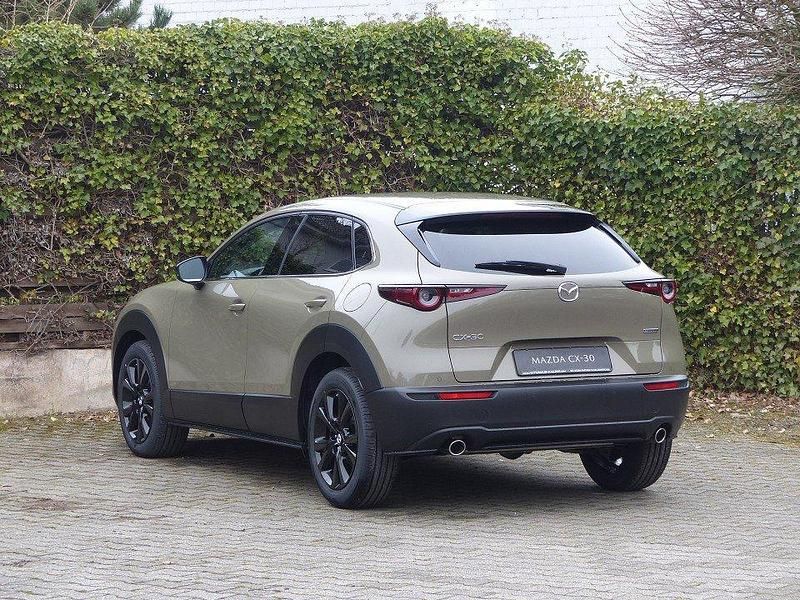 Gebraucht Mazda CX-30 Homura-Line 140 PS (102 kW) 2024 SUV