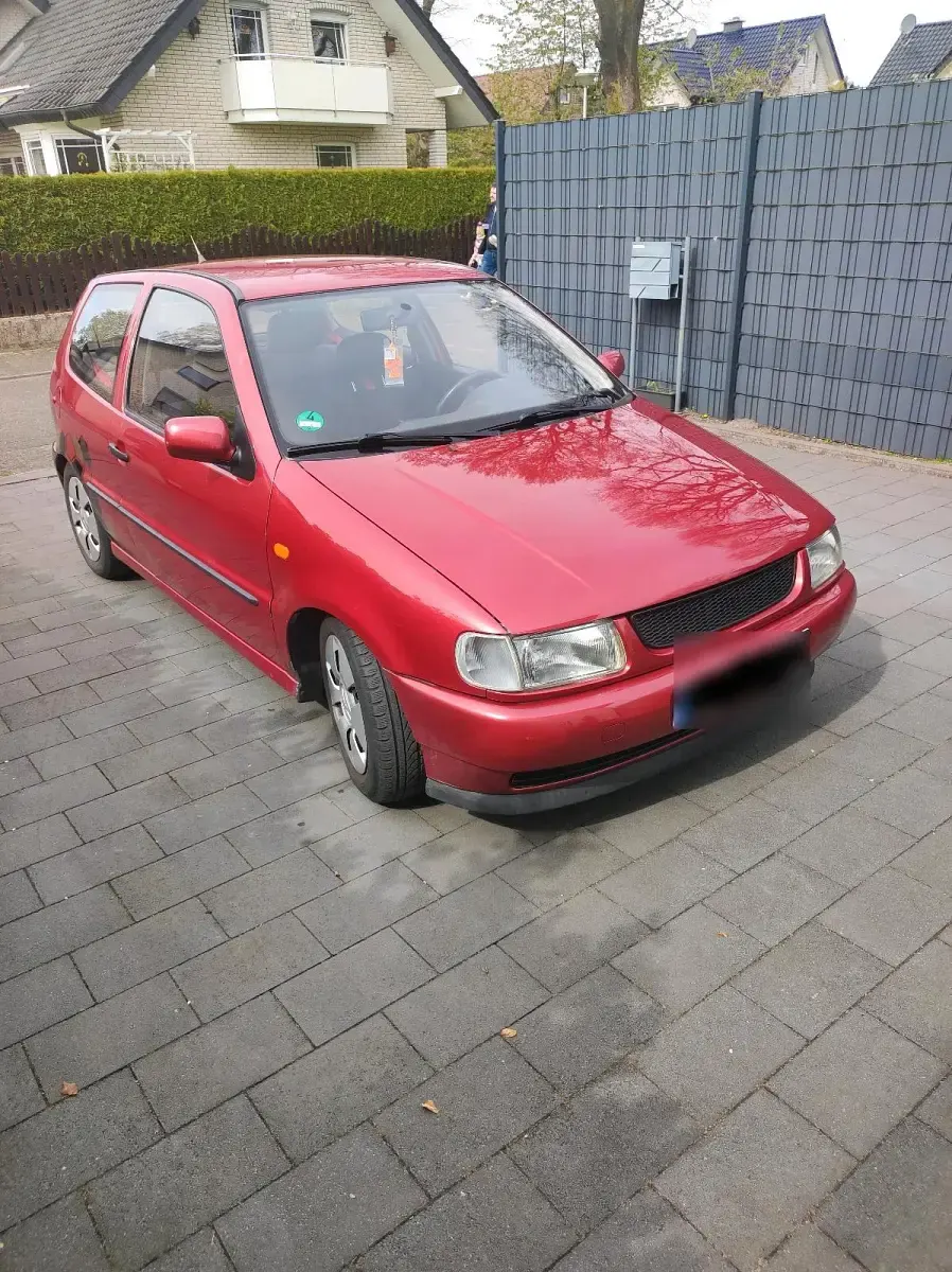 Usata VW Polo 60 CV (44 kW) 1996 Rosso Utilitaria