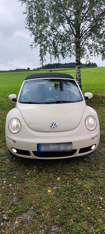 Gebraucht VW Beetle Cabriolet 105 PS (77 kW) 2006 Beige Cabrio