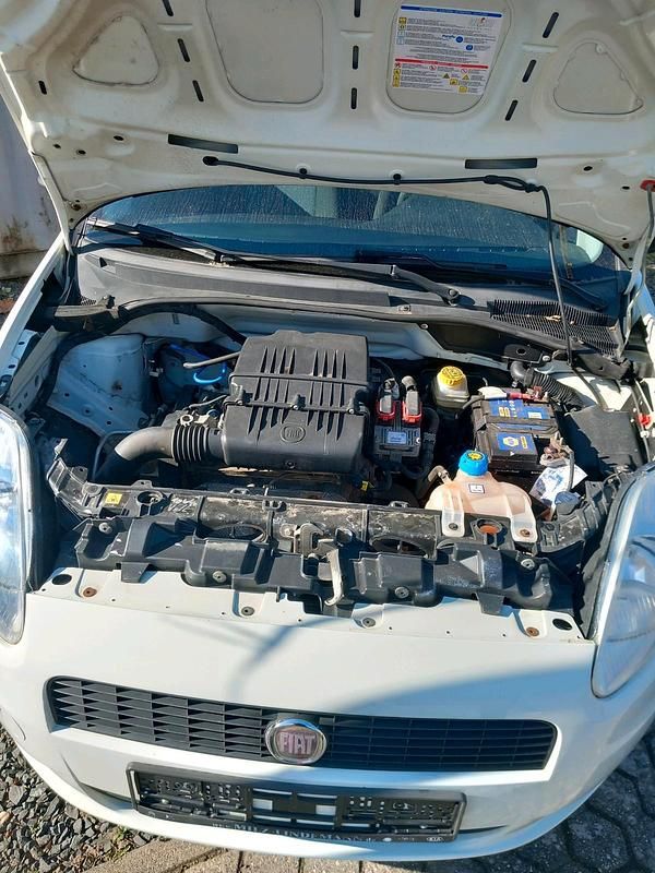 Usata Fiat Punto 2012 Bianco Utilitaria