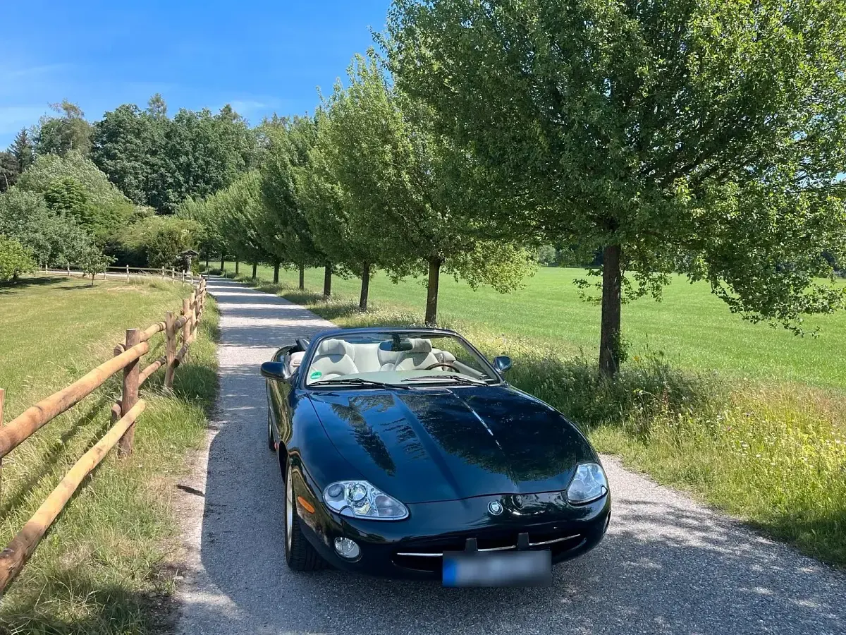 Gebraucht Jaguar XK8 286 PS (210 kW) 2000 Grün Cabrio