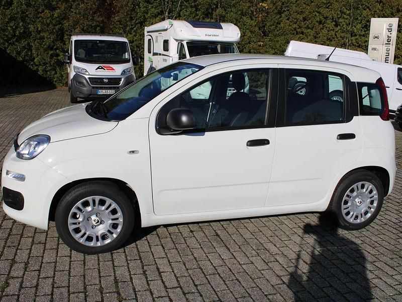 Neu Fiat Panda 69 PS (50 kW) 2025 Weiß Kleinwagen