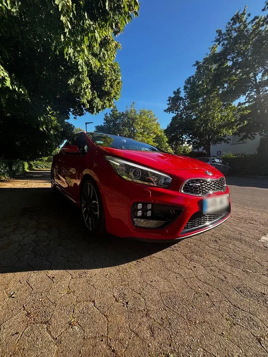 Gebraucht Kia ProCeed GT-Challenge 204 PS (150 kW) 2013 Rot Kleinwagen
