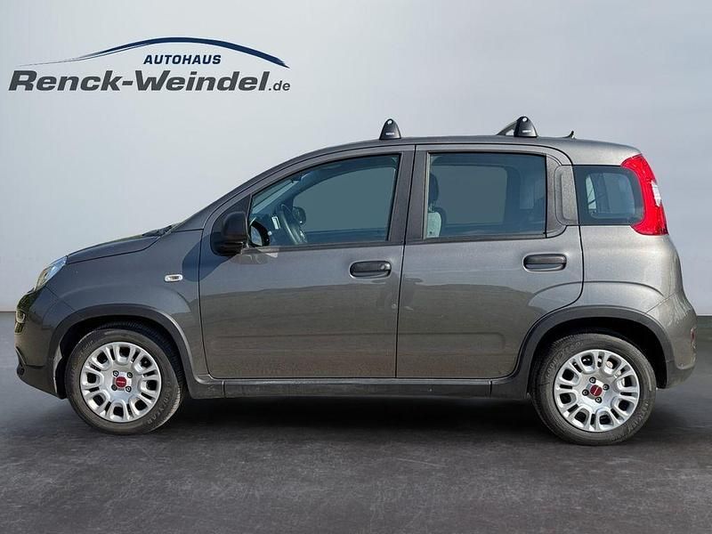 Gebraucht Fiat Panda 69 PS (50 kW) 2023 Colosseo grau) (grau Kleinwagen