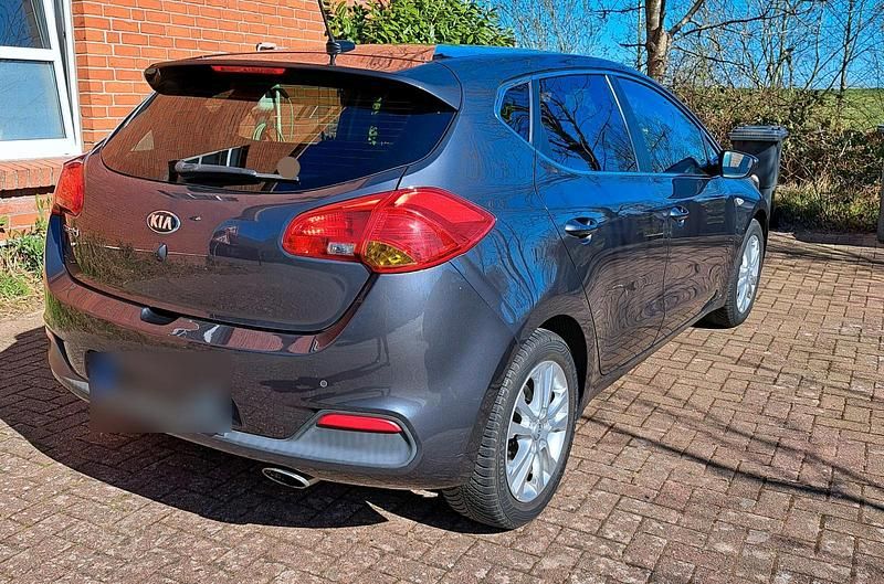 Usata Kia Ceed 99 CV (72 kW) 2014 Utilitaria