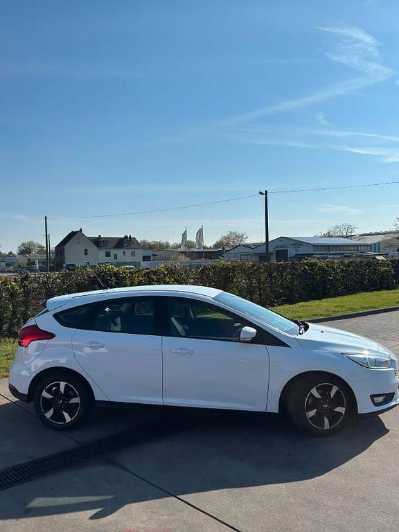 Usata Ford Focus Trend 125 CV (91 kW) 2017 Bianco Berlina