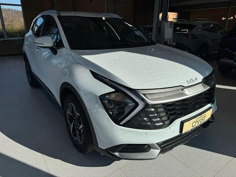 Gebraucht Kia Sportage 150 PS (110 kW) 2023 Weiß SUV