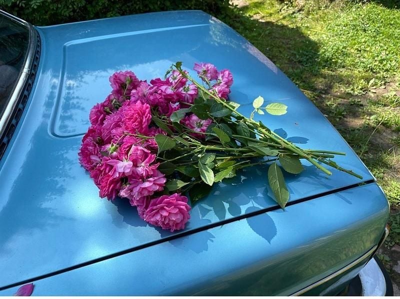 Blau Gebraucht 1974 Volvo 164 Limousine | 10.900 € - Bild 1/4