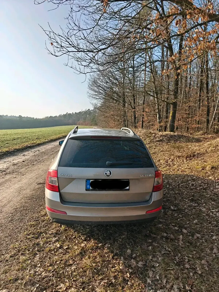Gebraucht Skoda Octavia 150 PS (110 kW) 2014 Grau Kombi