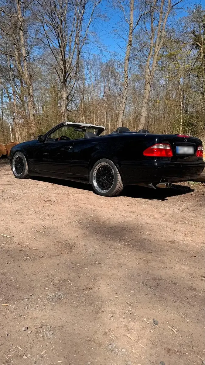 Gebraucht Mercedes CLK230 Elegance 197 PS (144 kW) 1999 Schwarz Cabrio