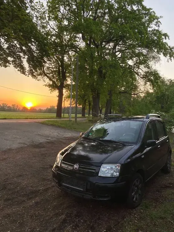 Gebraucht Fiat Panda 69 PS (50 kW) 2011 Schwarz Kleinwagen