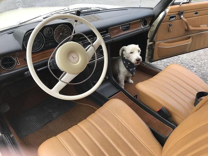 Gebraucht Mercedes 250 150 PS (110 kW) 1970 Weiß Coupé