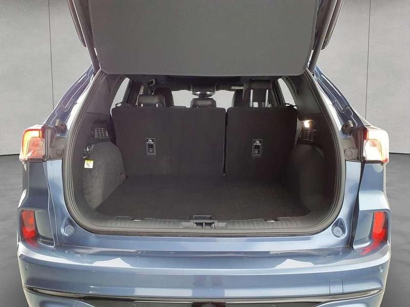 Gebraucht Ford Kuga ST-Line X 150 PS (110 kW) 2023 Chroma blau metallic SUV