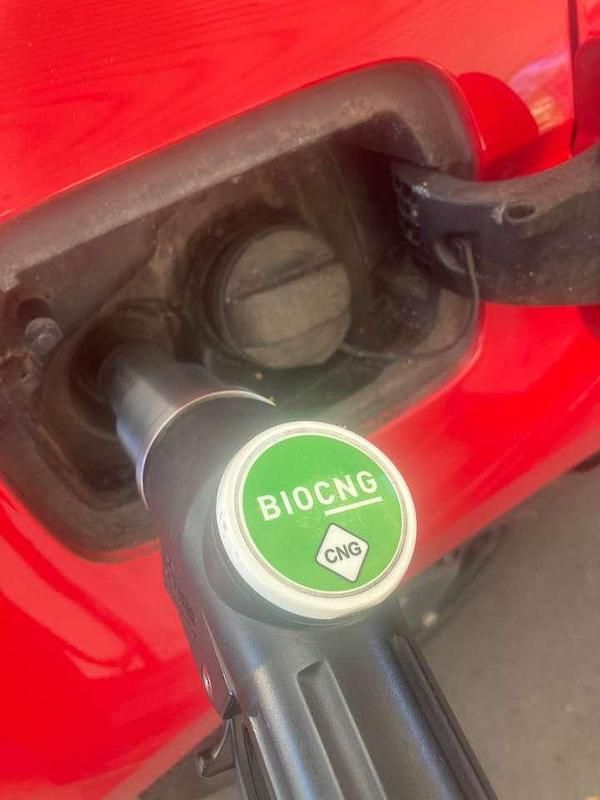 Gebraucht Seat Ibiza 90 PS (66 kW) 2020 Rot Kleinwagen