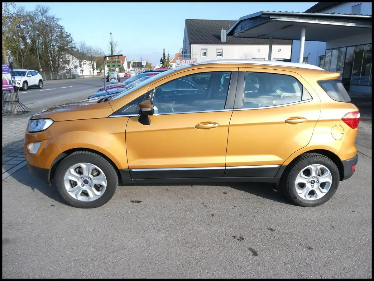 Usado Ford Ecosport 140 CV (102 kW) 2019 Naranja SUV