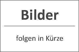 Gebraucht Skoda Fabia 110 PS (80 kW) 2025 Weiß Kleinwagen