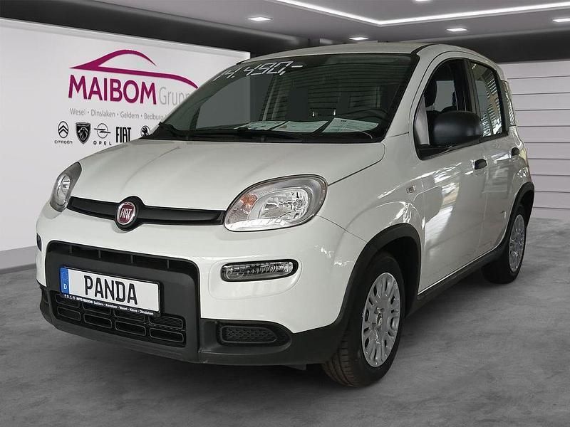 Weiß Neu 2024 Fiat Panda Kleinwagen | 14.750 € (Fairer Preis) - Bild 1/4