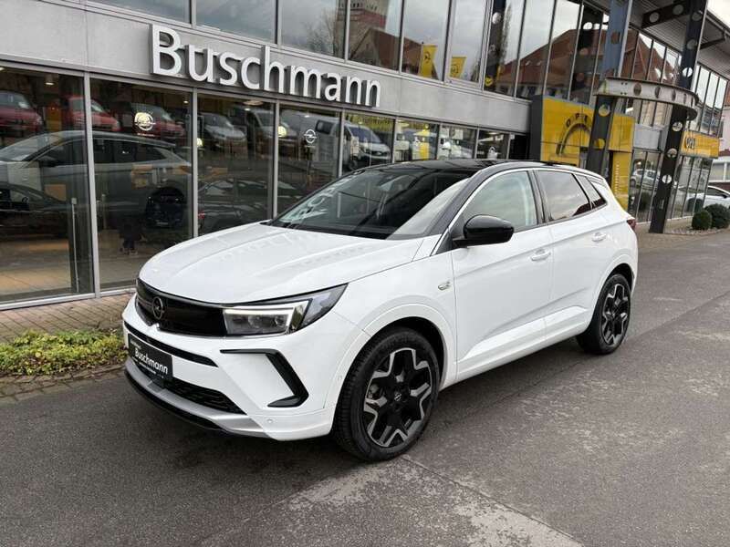 Jade weiß Gebraucht 2023 Opel Grandland X Elegance SUV | 30.790 € (Teuer) - Bild 1/4