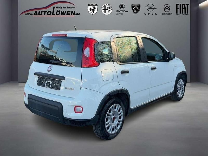 Gebraucht Fiat Panda 69 PS (50 kW) 2022 Gelato weiß Kleinwagen