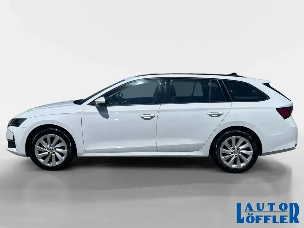 Gebraucht Skoda Octavia Selection 150 PS (110 kW) 2024 Moonweiß (metallic) Kombi