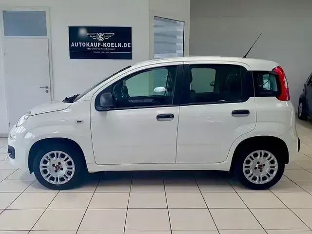 Gebraucht Fiat Panda Easy 69 PS (50 kW) 2019 Weiß Kleinwagen