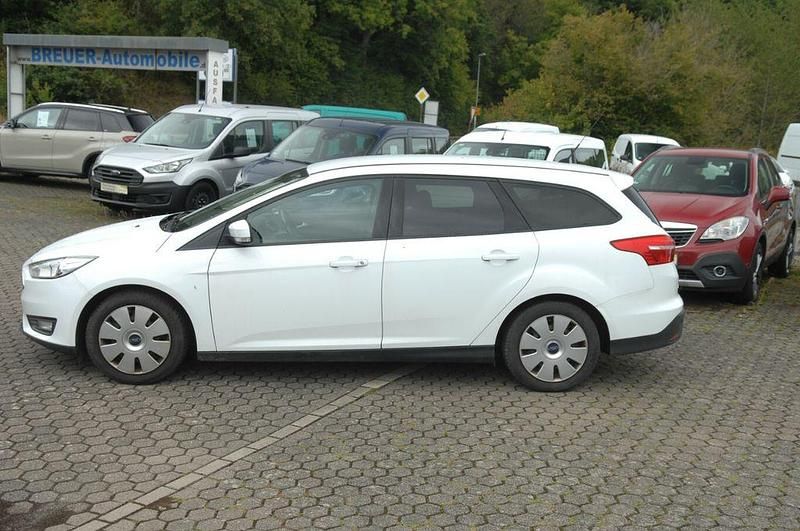 Usata Ford Focus 125 CV (91 kW) 2015 Bianco Berlina