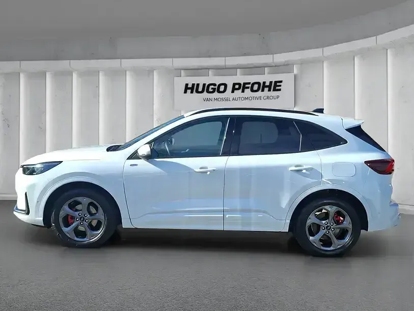 Gebraucht Ford Kuga ST-Line X 186 PS (136 kW) 2024 Weiss SUV