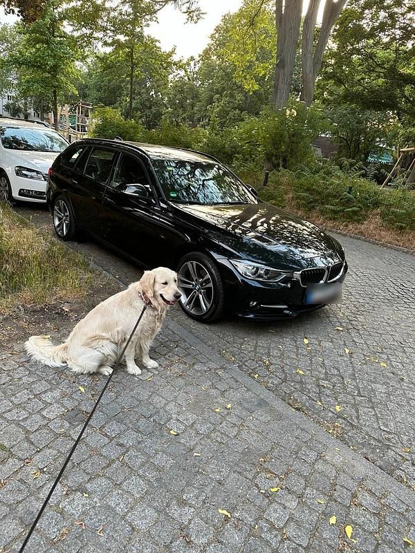 Second-hand BMW 320 184 CP (135 kW) 2014 Negru Break