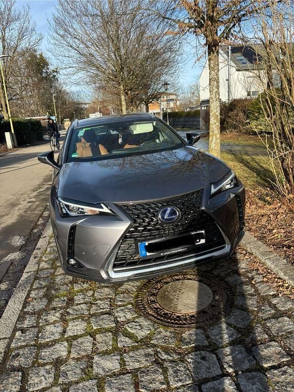 Grau Gebraucht 2019 Lexus UX E-FOUR SUV | 20.000 € (Superpreis) - Bild 1/4