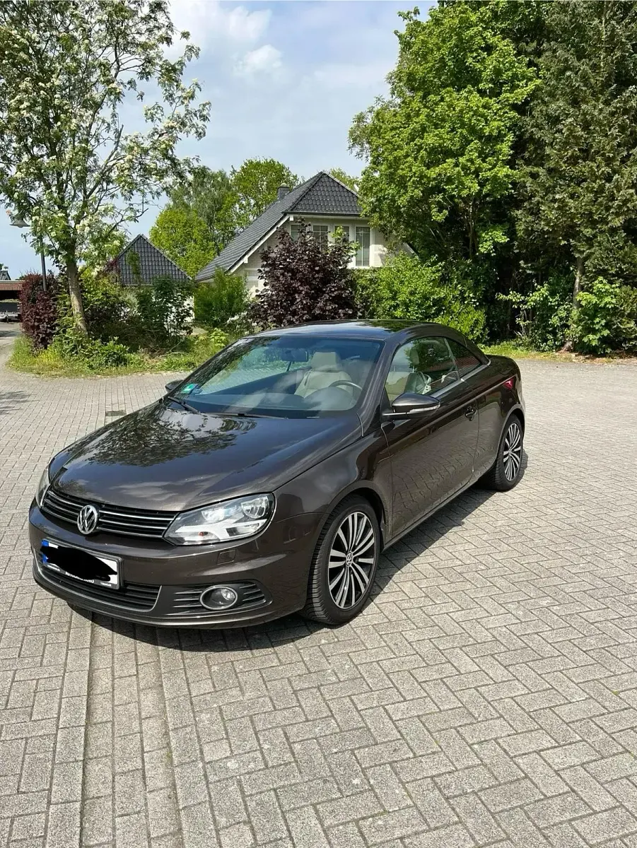 Gebraucht VW Eos Sportline 122 PS (89 kW) 2011 Braun Cabrio