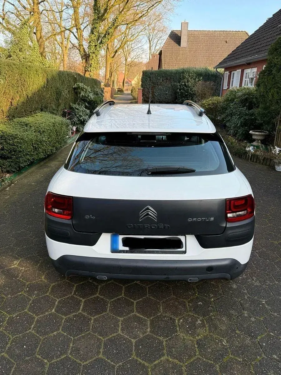 Used Citroën C4 Feel 82 HP (60 kW) 2016 White SUV
