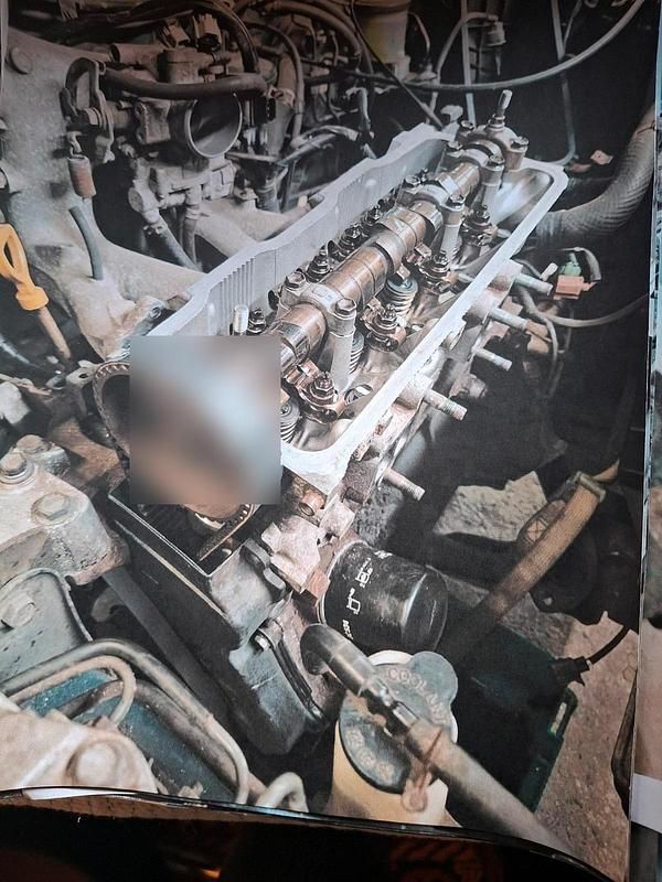 Gebraucht Toyota Starlet 75 PS (55 kW) 1991 Grün Kleinwagen