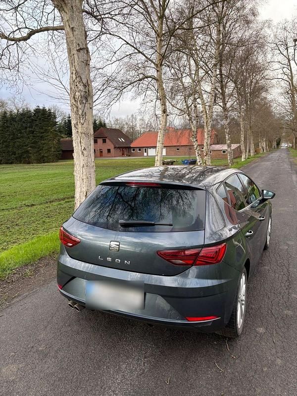 Gebraucht Seat Leon ST XCELLENCE 150 PS (110 kW) 2019 Grau Kombi