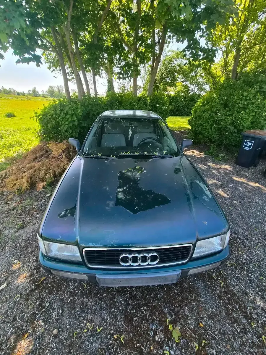 Używany Audi 80 90 KM (66 kW) 1992 Zielony Sedan/Limuzyna