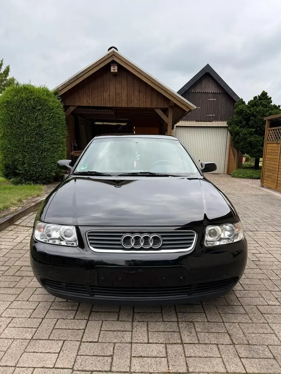 Gebraucht Audi A3 Ambiente 102 PS (75 kW) 2002 Schwarz Kleinwagen