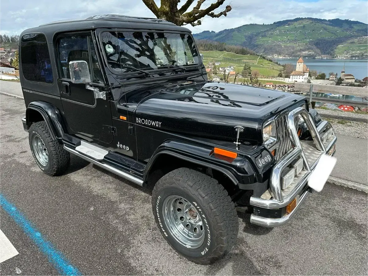 Gebraucht Jeep Wrangler 178 PS (130 kW) 1992 Schwarz SUV